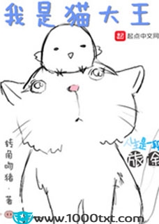 我是猫大王(校对)