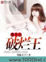 重生之破烂王
