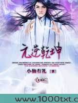 元逆乾坤图片