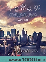 当首富从买亏损企业开始图片