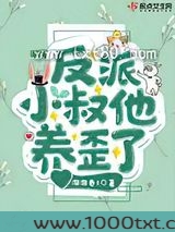 反派小叔他养歪了