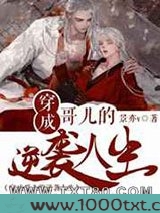 穿成哥儿的逆袭人生图片