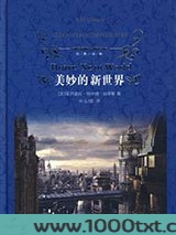 美妙新世界图片