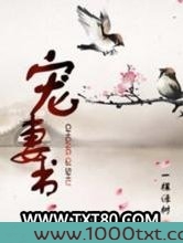 宠妻书图片