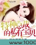 特种总裁的私有宝贝