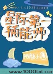 星际第一辅能师